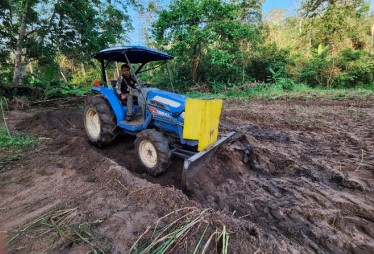 Im Langzeitmonitoring hat sich gezeigt, dass die Populationen von Muntjaks (kleine Hirsche), Wildschweinen, Sambar (größere Hirsche) und Gaur (der größte lebende Vertreter der Rinder) – allesamt Beutetiere der Tiger - in unserem Projektgebiet relativ klein sind. Die Vergrößerung der Beutetierpopulation ist allerdings ein entscheidender Faktor, um auch die Zahl der Tiger zu erhöhen. Bereits im vergangenen Jahr war daher eine der wichtigsten Maßnahmen, im Rahmen einer ersten Auswilderungsaktion 32 Sambar-Hirsche in die Wälder des Mae Wong Nationalparks zu entlassen.  Kamerafallenbilder bestätigen, dass diese erste Auswilderungsaktion erfolgreich war und sich die Sambar gut eingelebt haben. Die Tiere werden regelmäßig mittels Kamerafallen in der Nähe der neu geschaffenen Grasflächen und Salzleckstellen beobachtet. Anhand der Ohrmarken können sie leicht von den ansässigen Sambar-Hirschen unterschieden werden. Drei erwachsene männliche Tiere haben sich sogar 7 km weit von der restlichen Herde entfernt und wurden in der Nähe des Nationalpark-Hauptquartiers beobachtet.  In einer zweiten Auswilderungsaktion wurden dieses Jahr weitere 44 Sambar-Hirsche freigelassen – 24 Tiere erneut in Mae Wong und 20 Tiere erstmalig im Khlong Lan Nationalpark. Vor der Auswilderung der Tiere waren zunächst umfangreiche Vorbereitungen nötig. In Khlong Lan musste ein Waldweg auf einer Länge von 3,4 km geschaffen werden, damit die Tiere zur Freilassungsstelle transportiert werden konnten. Damit der Lebensraum optimale Bedingungen für Huftiere bietet wurden in beiden Nationalparks zudem neue Graslandschaften angelegt, so dass die Tiere ausreichend Nahrung finden. Dazu müssen die Flächen zunächst von „Unkraut“ befreit werden so dass anschließend einheimisches Gras gepflanzt werden kann, um zusätzliche Nahrungsquellen für die Hirsche zu schaffen.