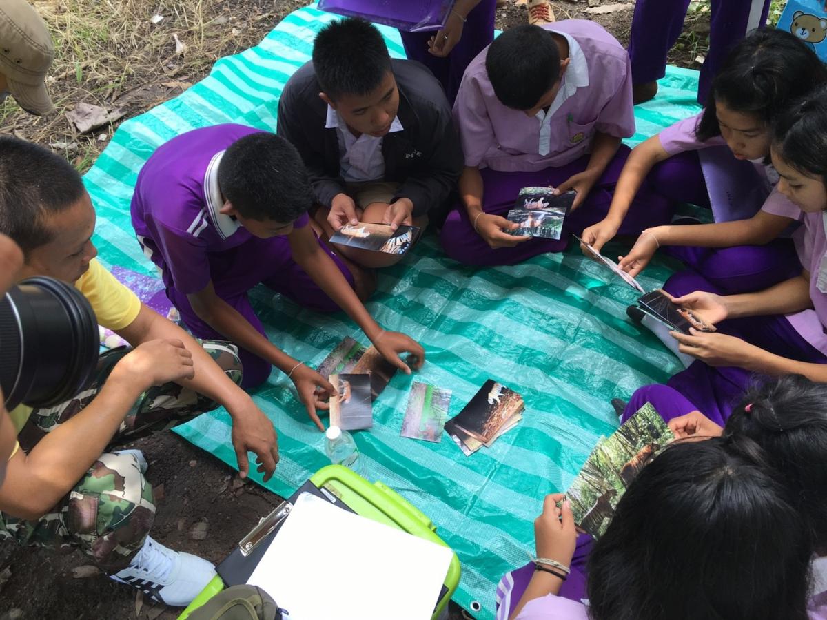  Tigerschutz-Kampagnen in Schulen