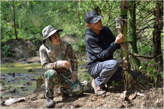 Rangers in Umphang:&nbsp; setting of camera traps